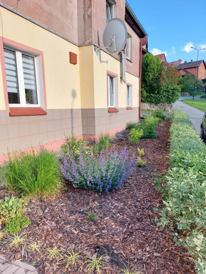 Apartament Rosiczka Duszniki Zdrój Extérieur photo